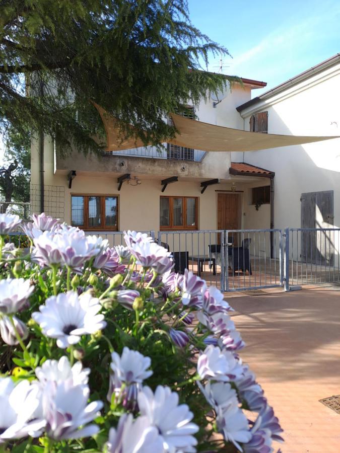 Casa Olea Montarice